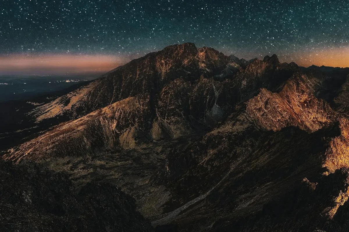 A tropical bird perched on a branch