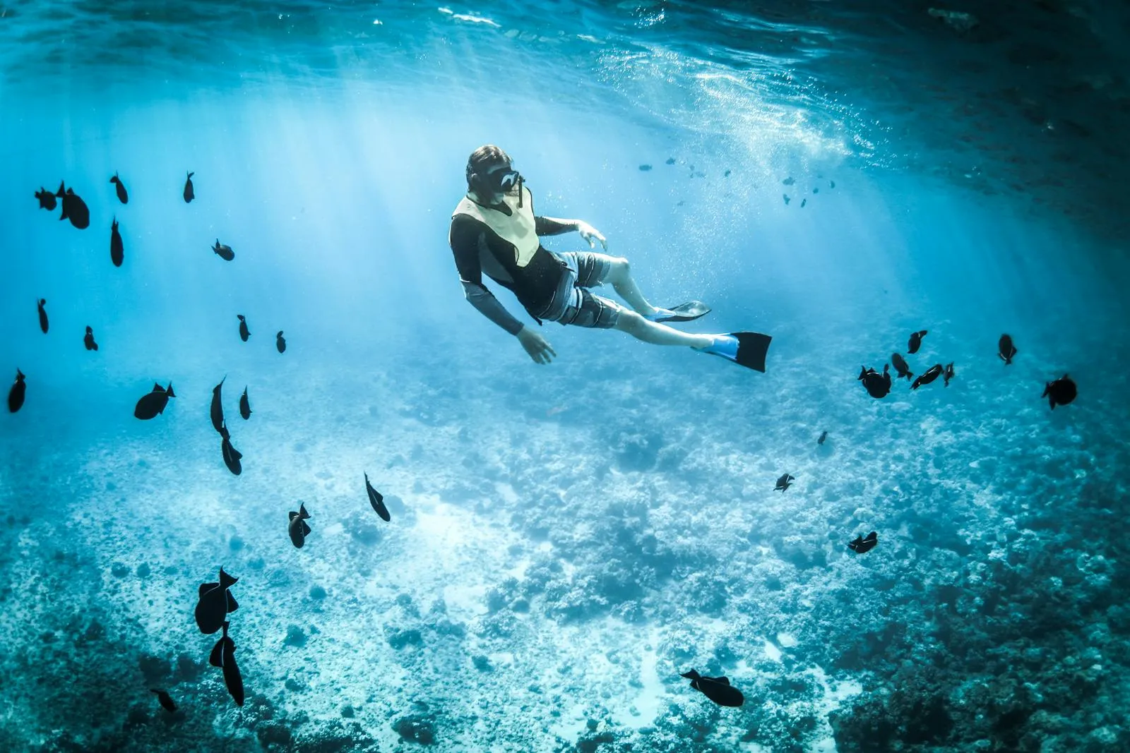 A snorkeler diving underwater surrounded by tropical fish