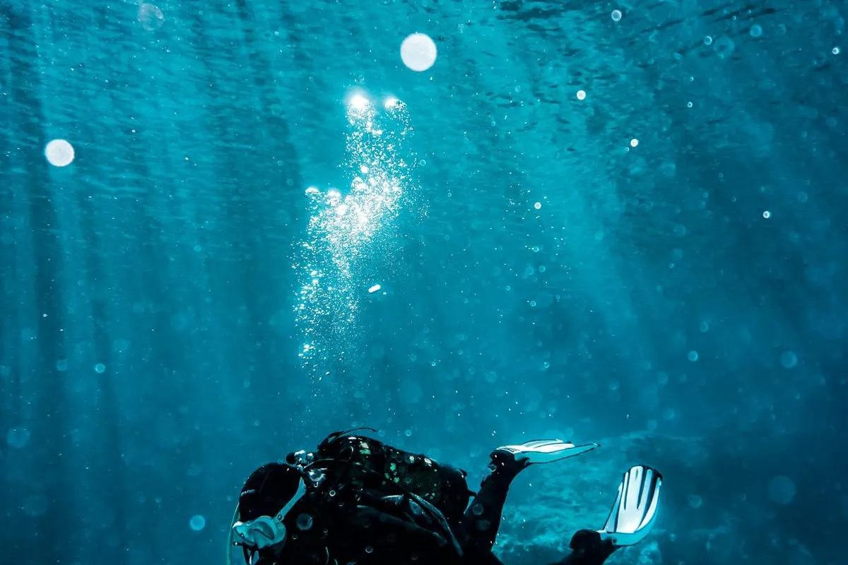 An octopus on the ocean floor