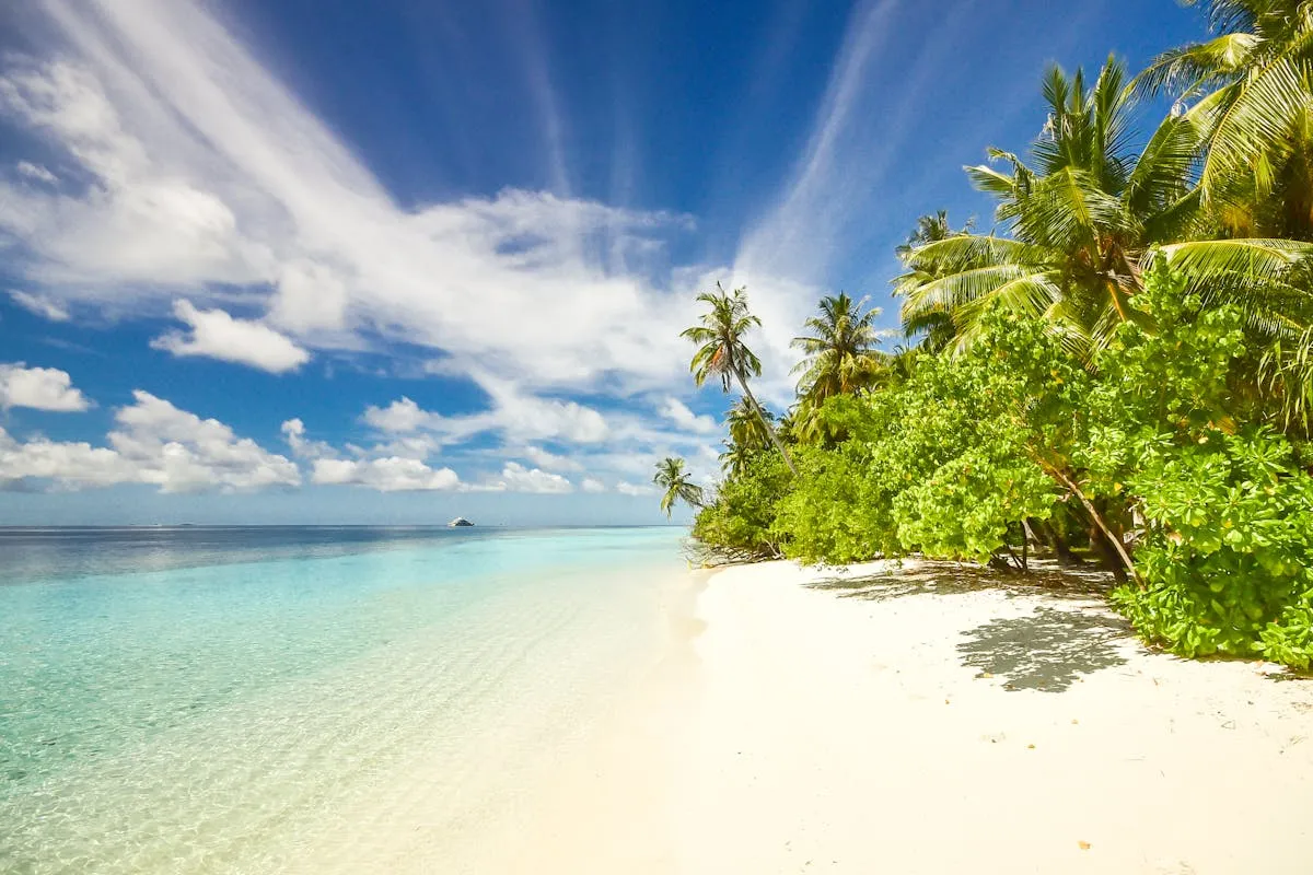 Aerial view of a tropical island with palm trees and turquoise waters in the southern Maldives