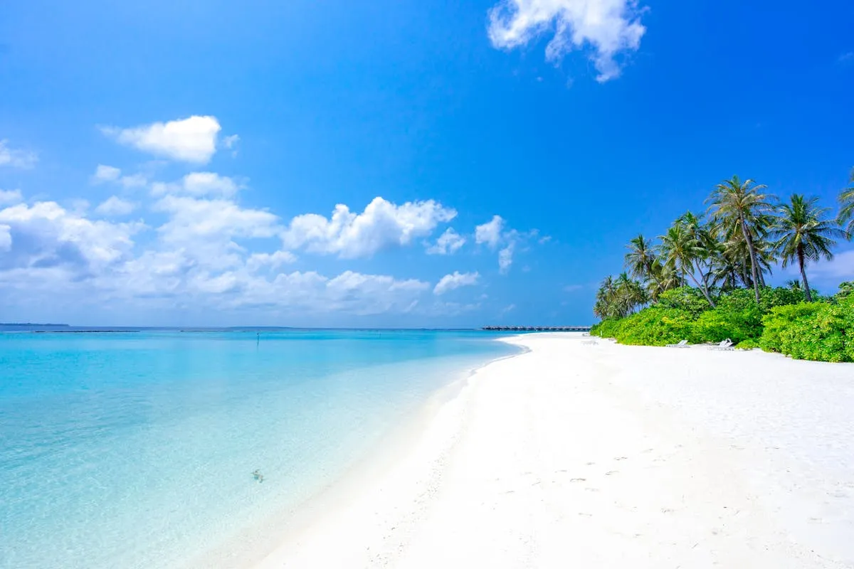 A tropical beach with clear water in the Maldives