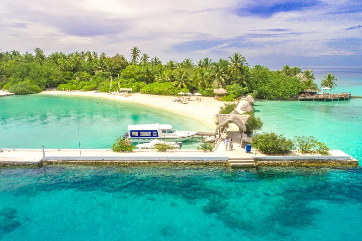 Aerial view of a dock and palm trees on a Maldivian island