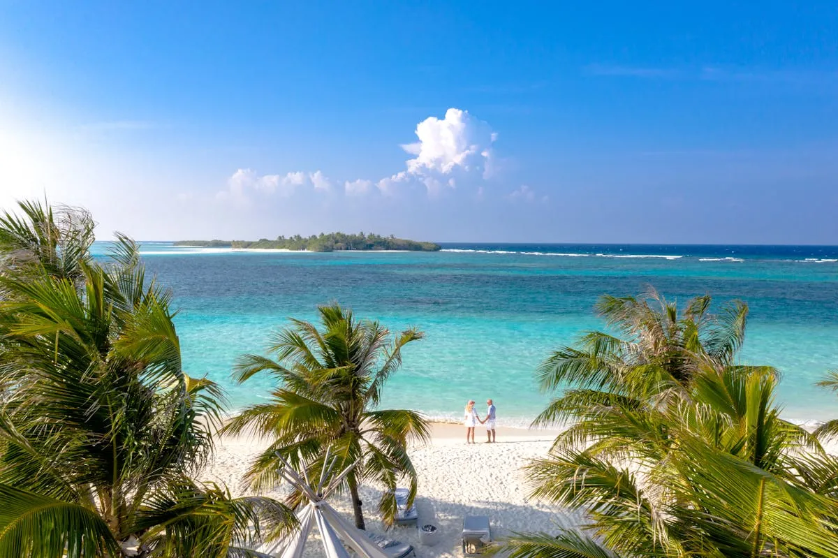 Palm trees by the sea on a Maldivian island