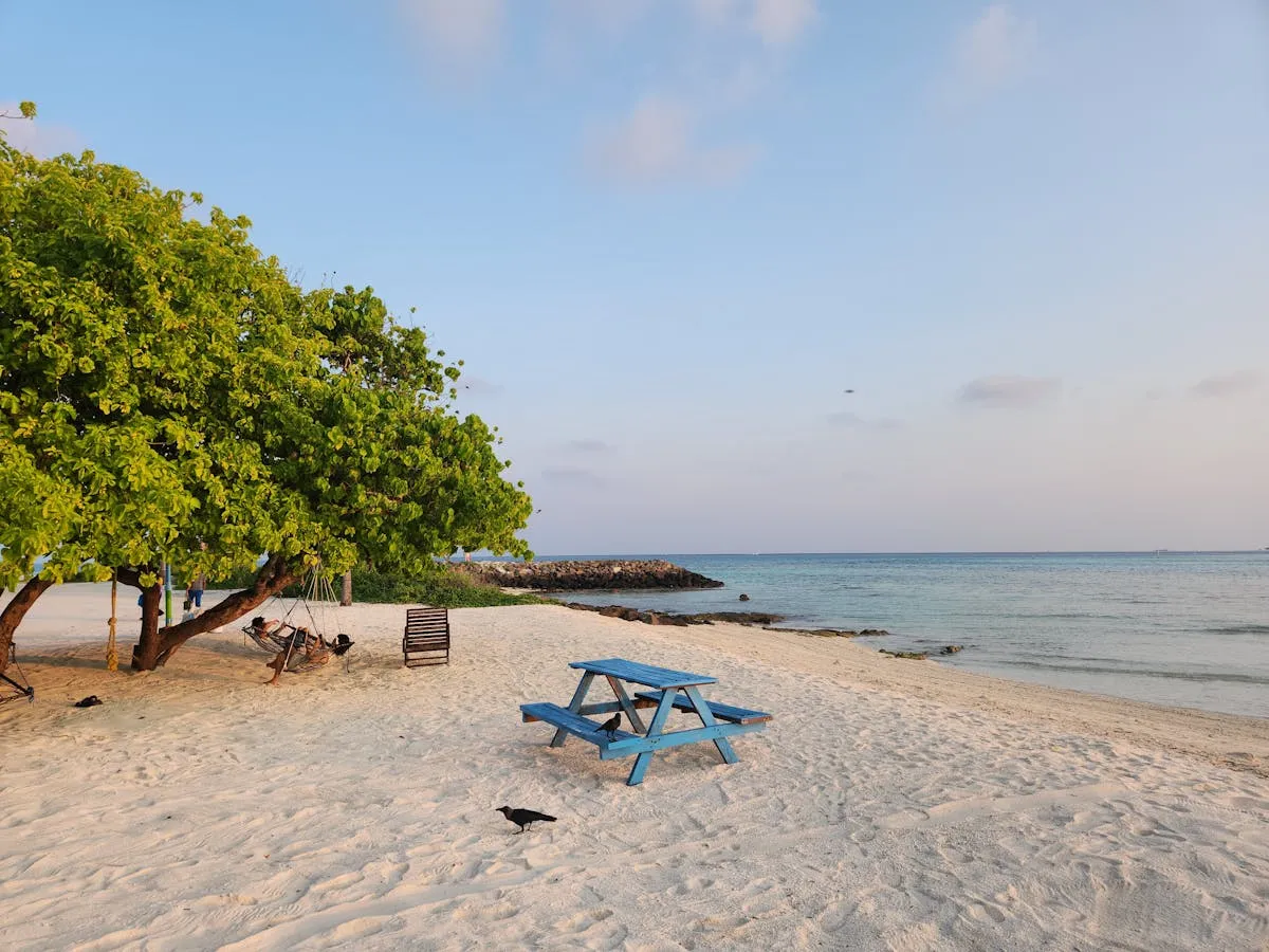 The beachfront of Maafushi island in the Maldives